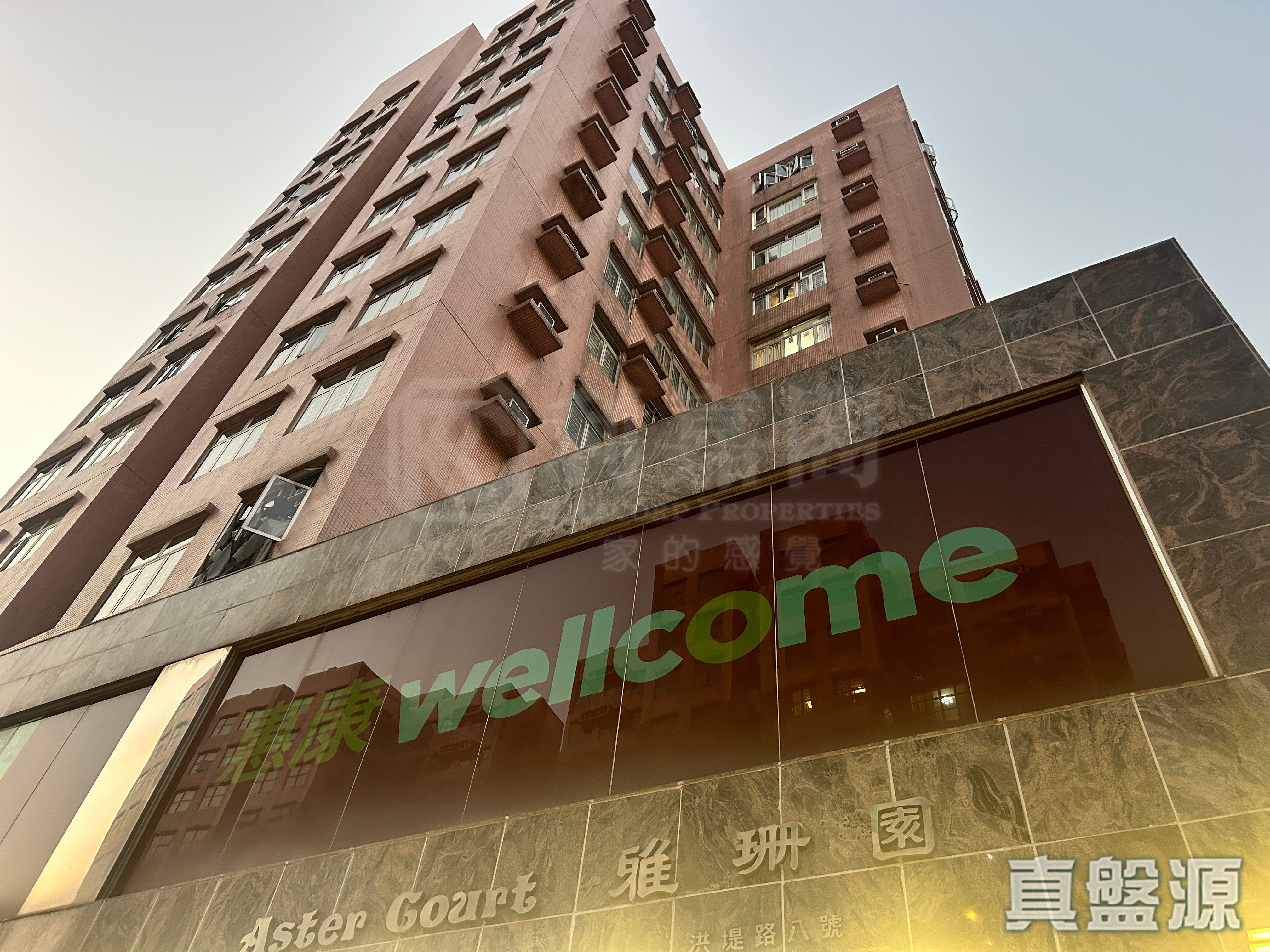 雅珊园 2座 低层 B室 元朗