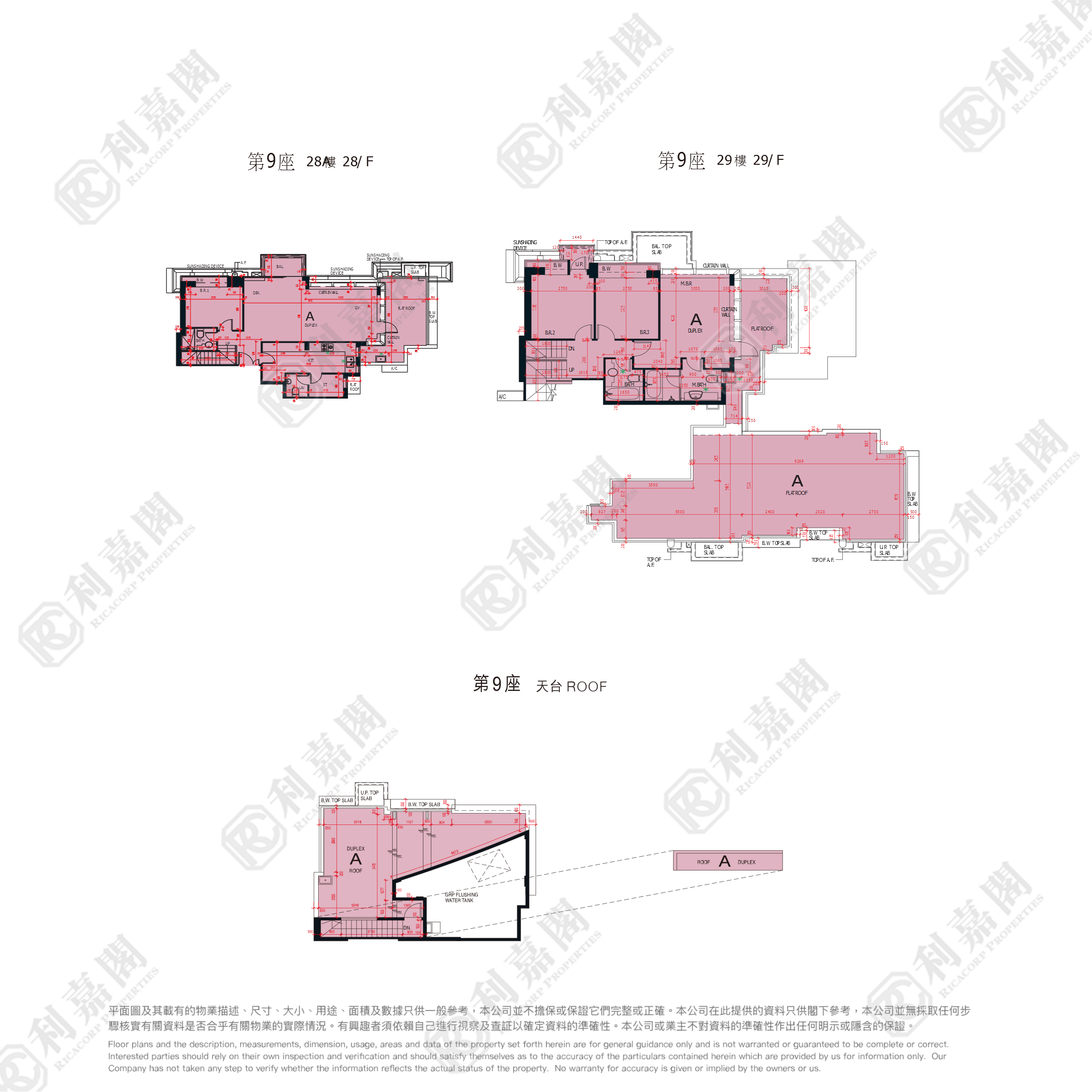 嵐山 1期 9座 大埔