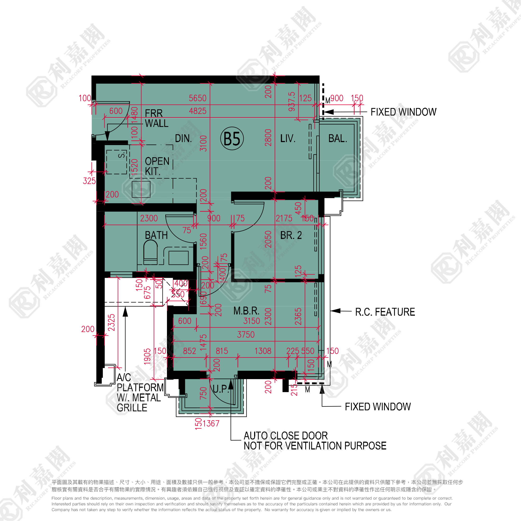 雲滙 2期 10座 高層 B5室 大埔