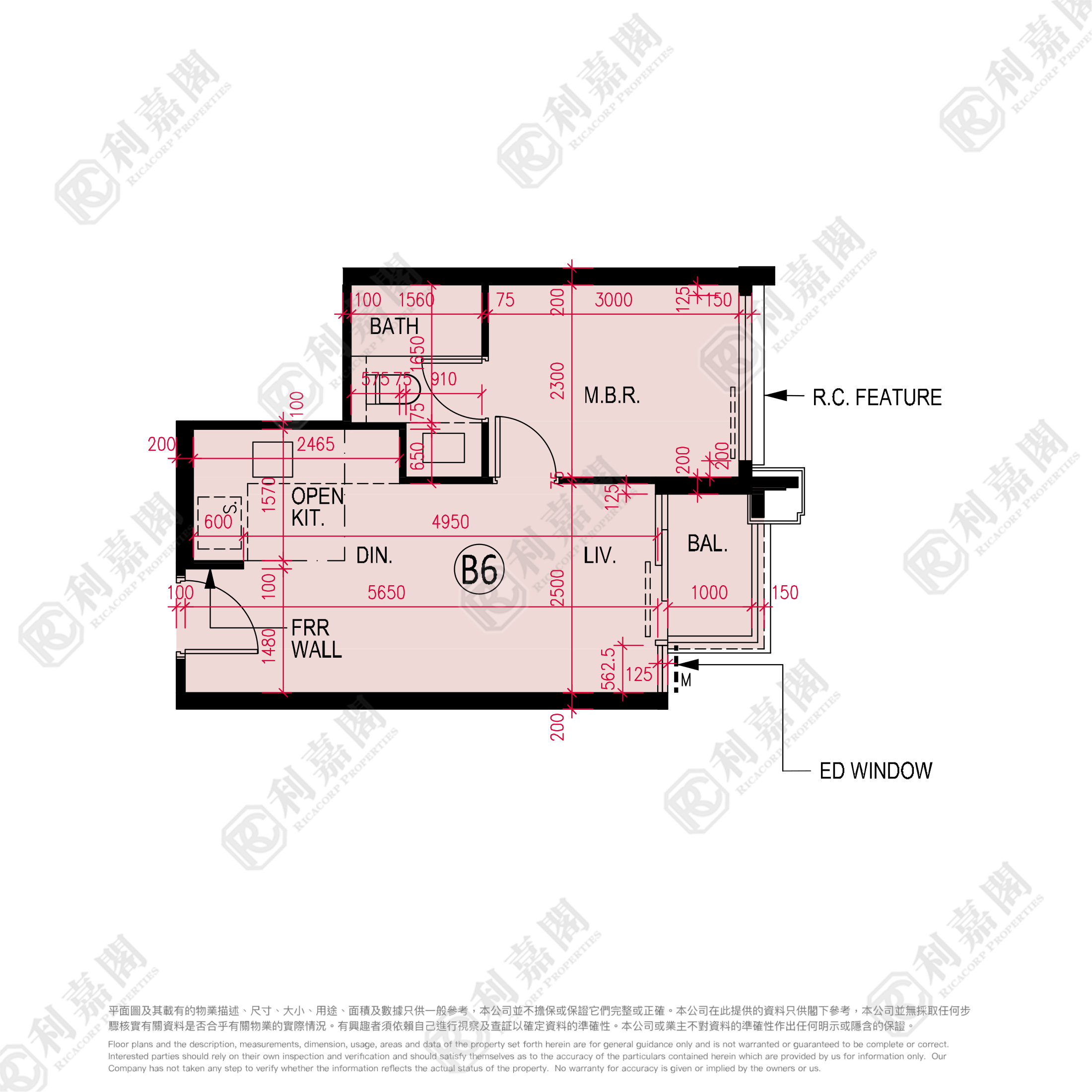 雲滙 2期 10座 高層 B6室 大埔
