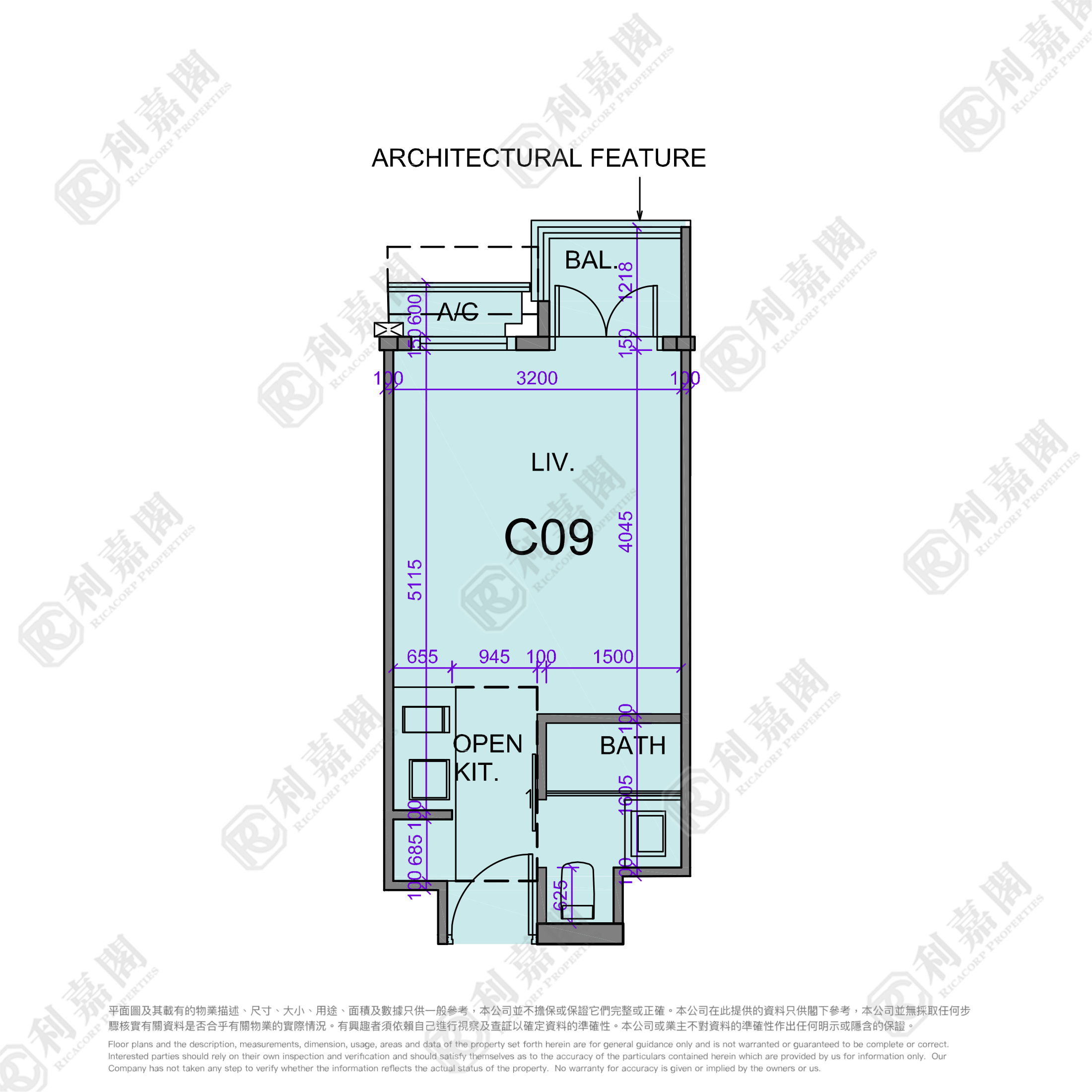 薈蕎 2翼 高層 C9室 大圍
