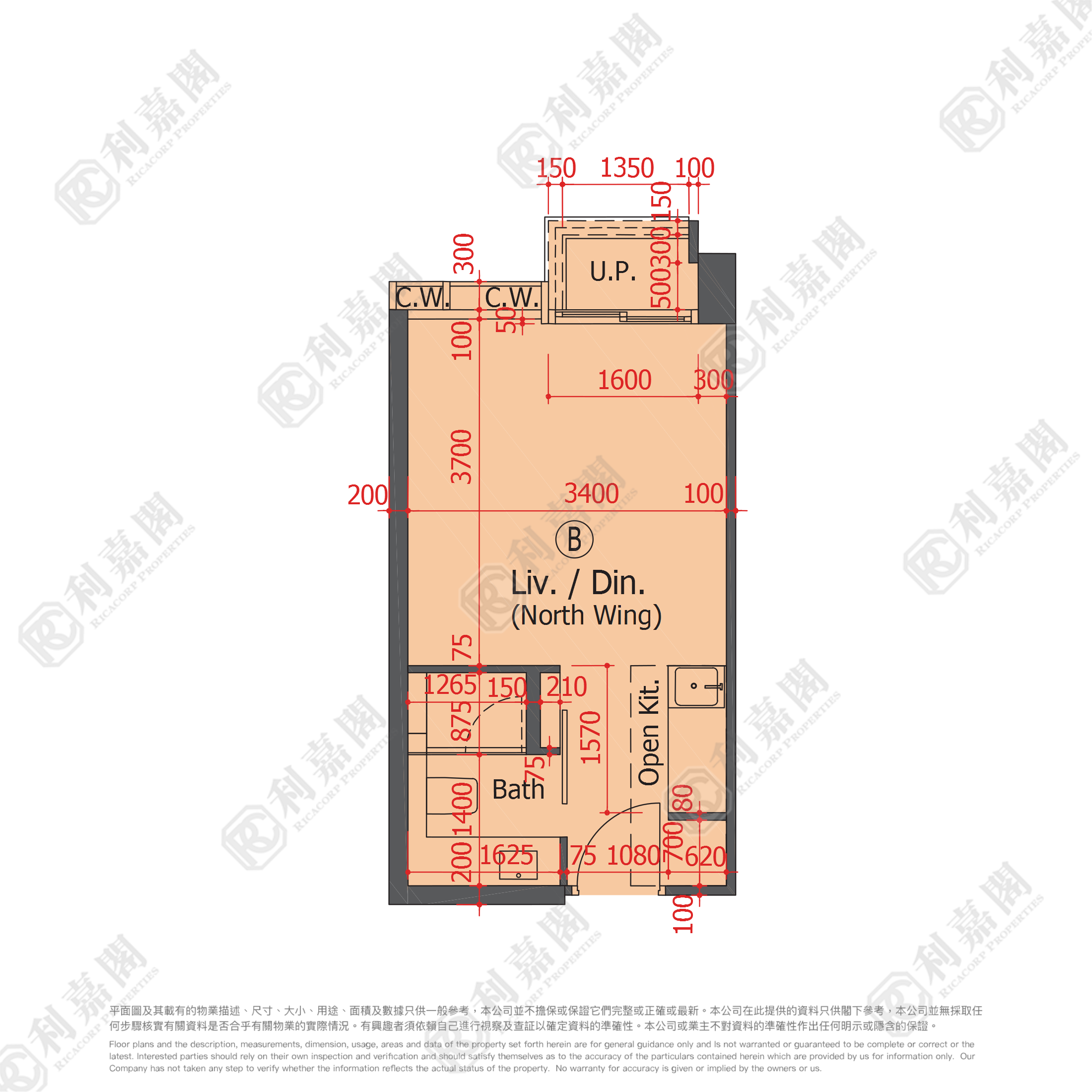 䨇寓 高层 NB室 屯门
