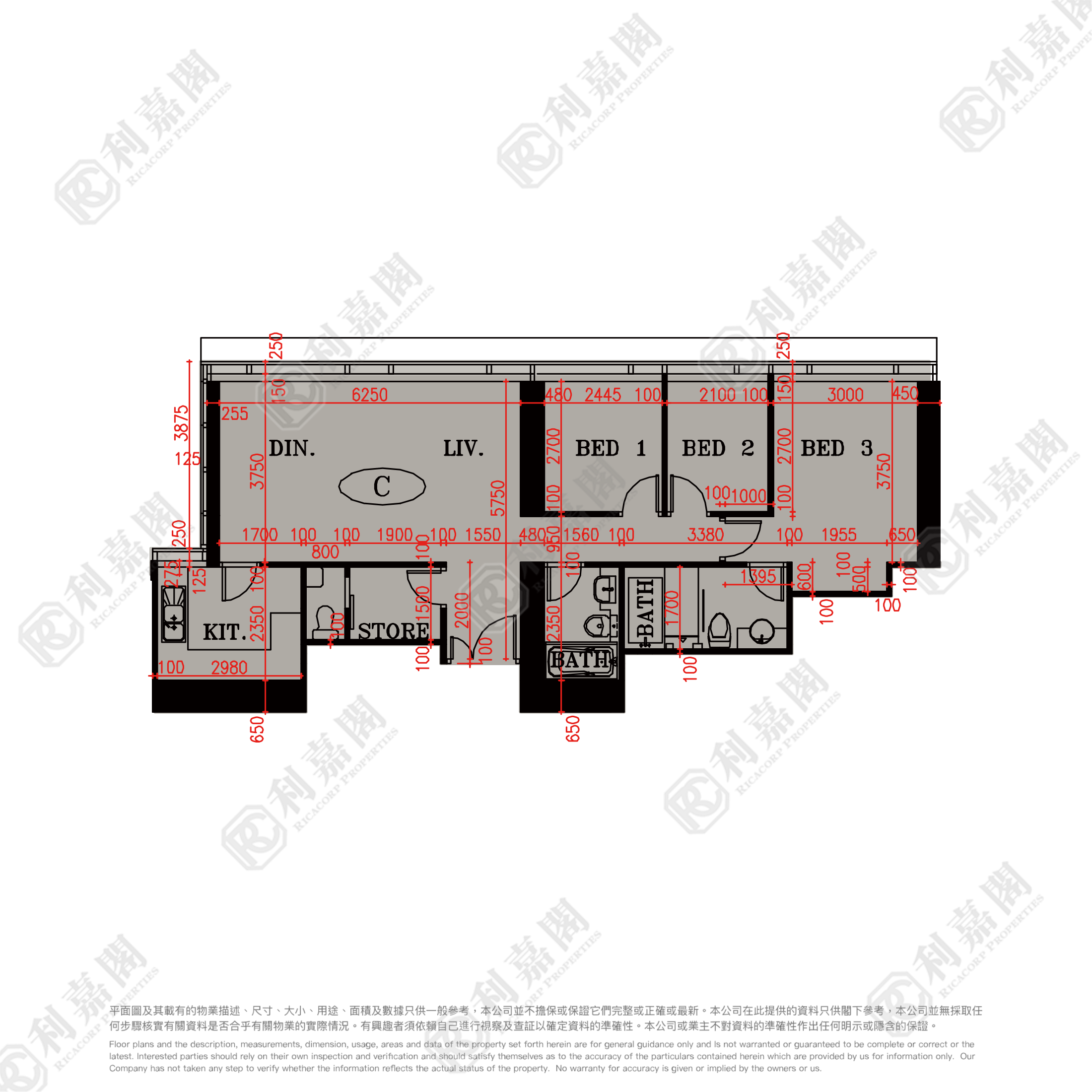 天玺 21座 - 2区 (月钻) 低层 C室 九龙站/尖沙咀/佐敦
