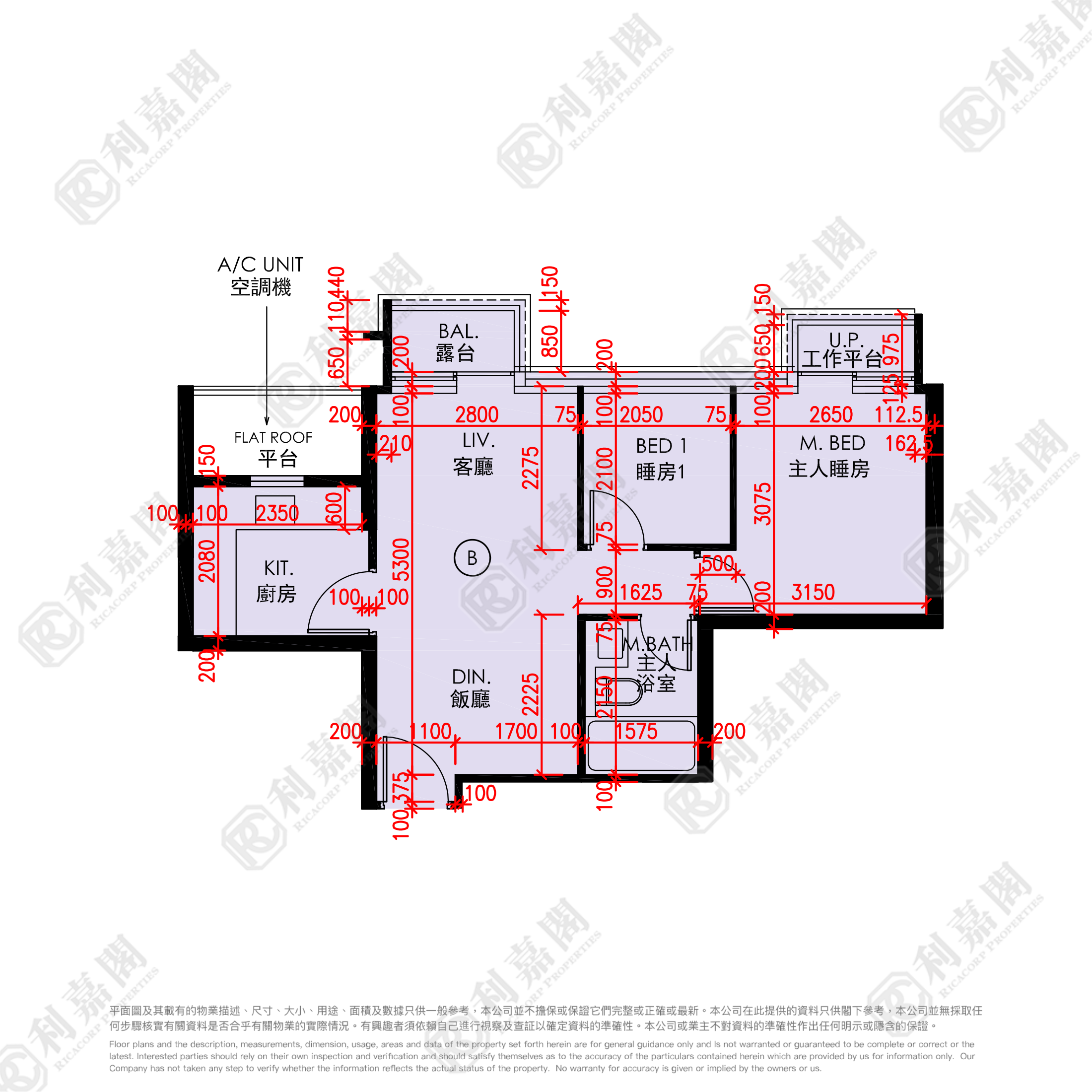 天钻 13座 低层 B室 大埔