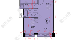 THE ARCH STAR TOWER (BLOCK 2) High Floor Zone Flat B Kowloon Station/Tsim Sha Tsui/Jordan