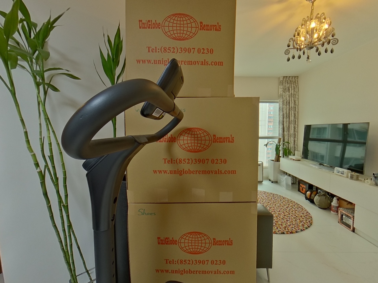 漾日居 1期 2座 高層 F室 九龍站/尖沙咀/佐敦