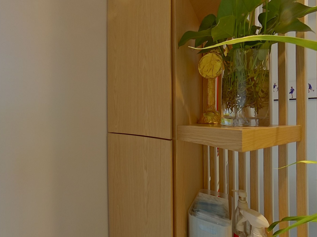 維景灣畔 1期 2座 極高層 D室 將軍澳