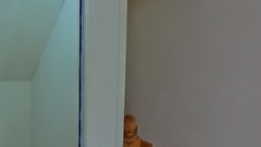 倚龍山莊 大埔